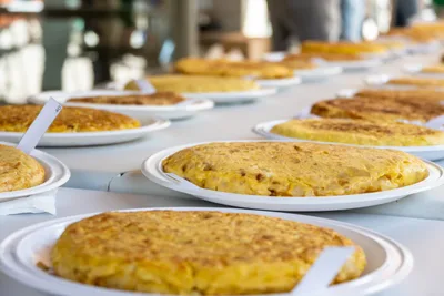 Tortillas de patata en platos blancos con su etiqueta numerada, en fila sobre la mesa del concurso.