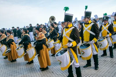 La comparsa vista de lado: faldas amarillas y mantones delante, gastadores detrás y la banda al fondo.